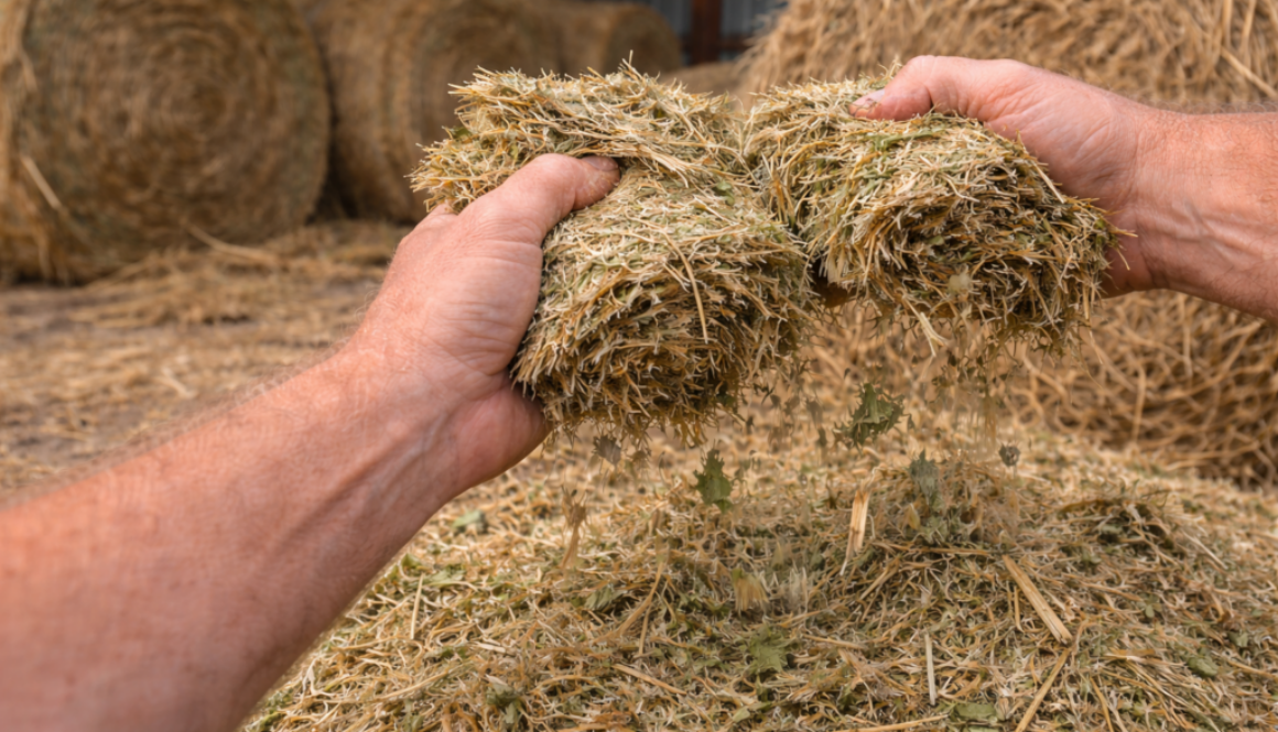 Why Some Hay Breaks Apart Easily — and How to Prevent It