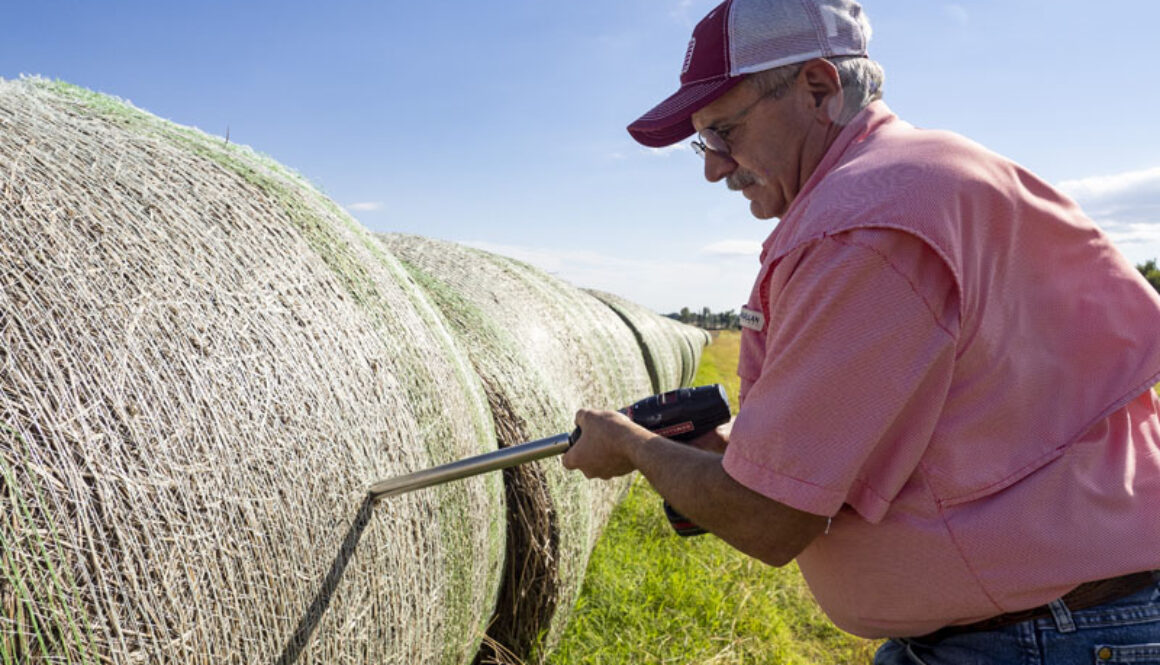 Forage testing using a hay probe in round bales.